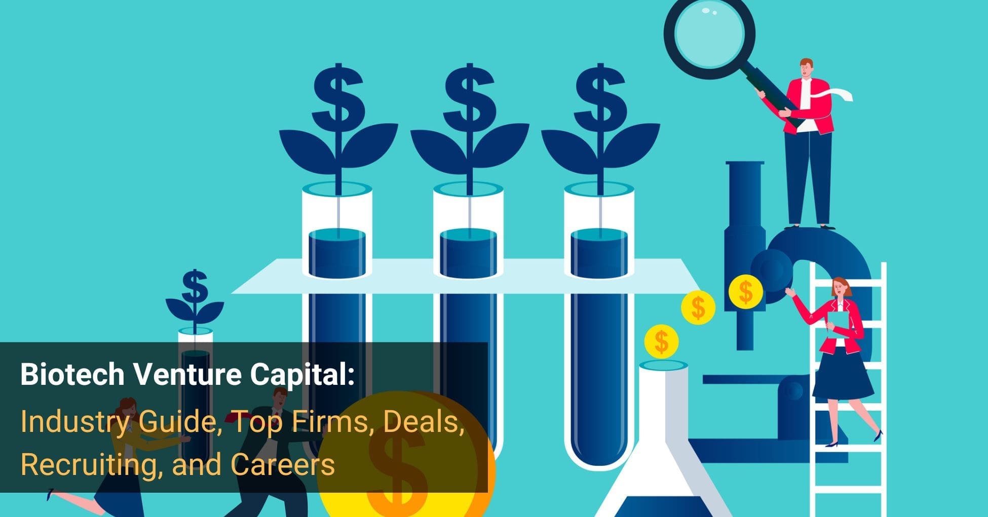 Biotech Venture Capital