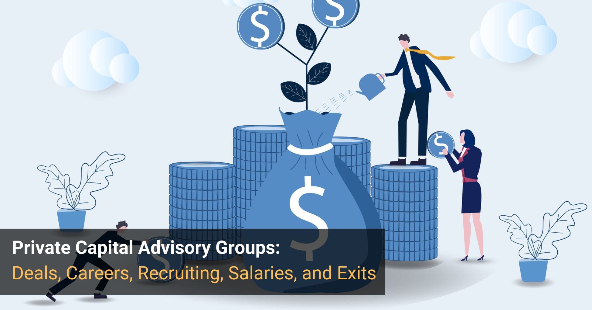 Private Capital Advisory