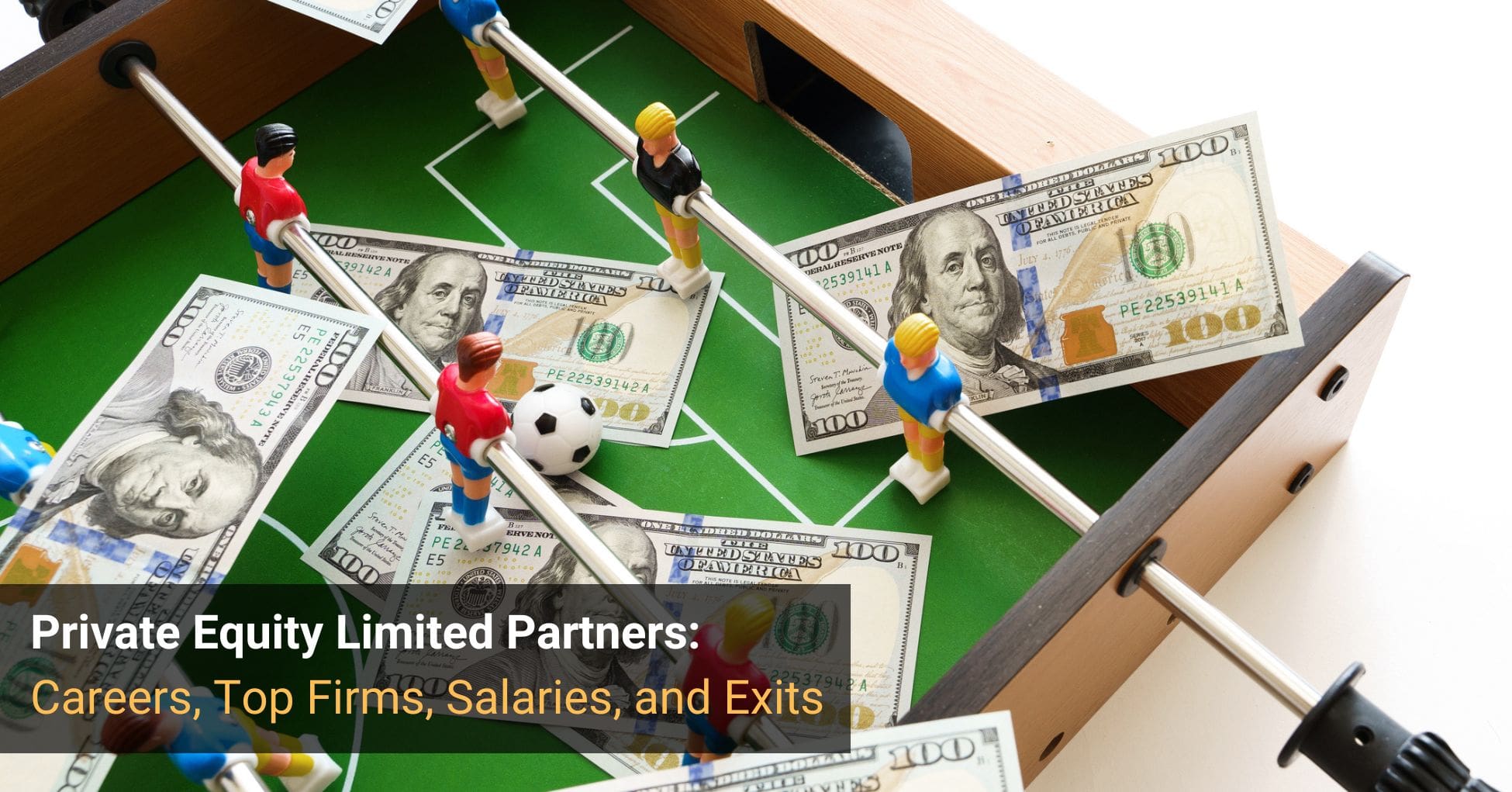 Private Equity Limited Partners