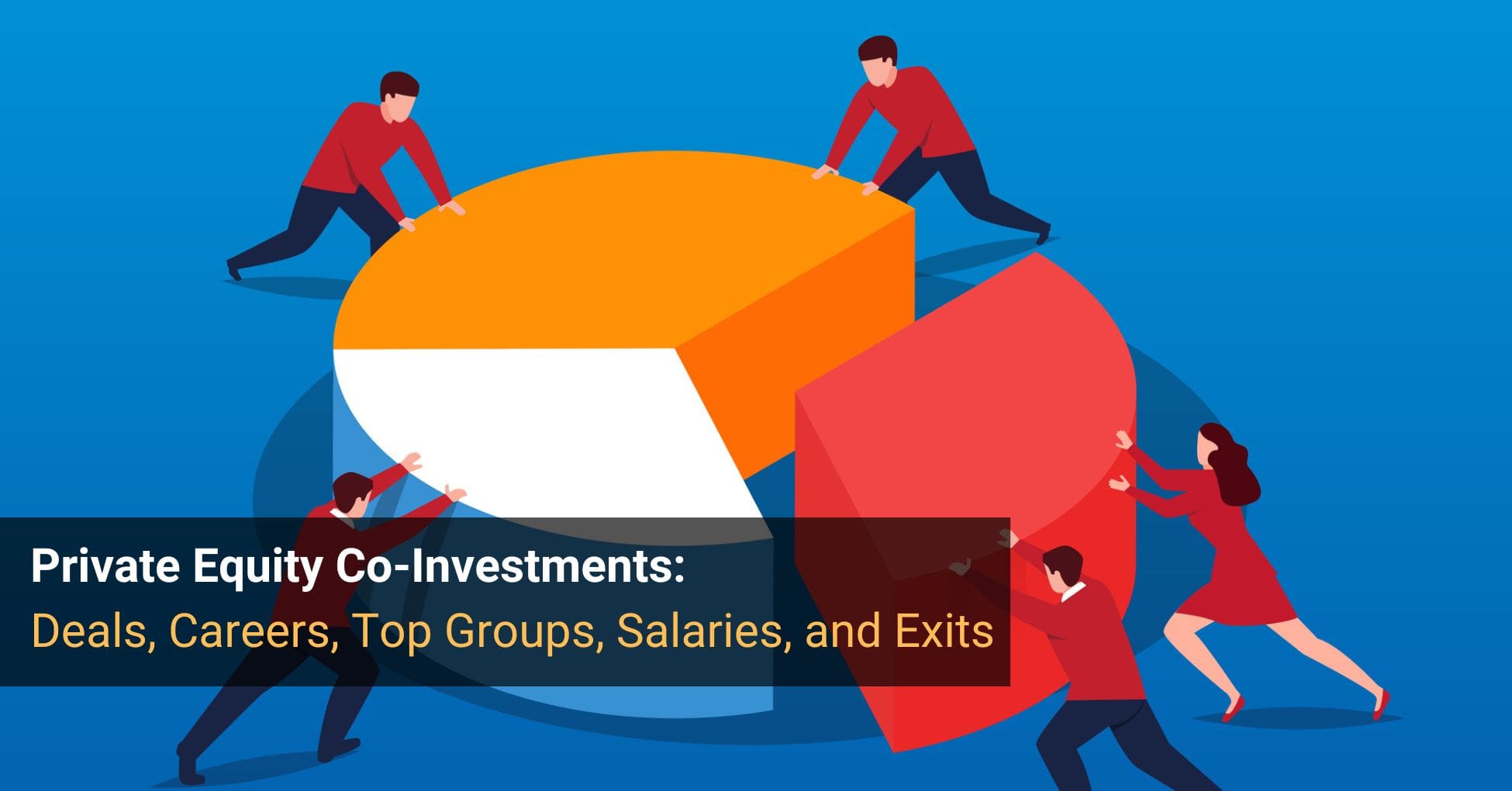 Private Equity Co-Investments